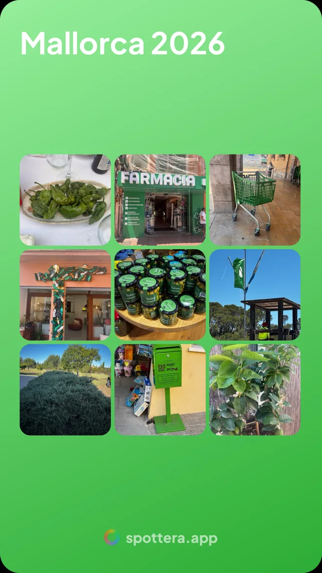 Ein grünes Raster aus echten Fotos: Pistazien, ein Apothekenschild, ein Einkaufswagen, eine Hecke.