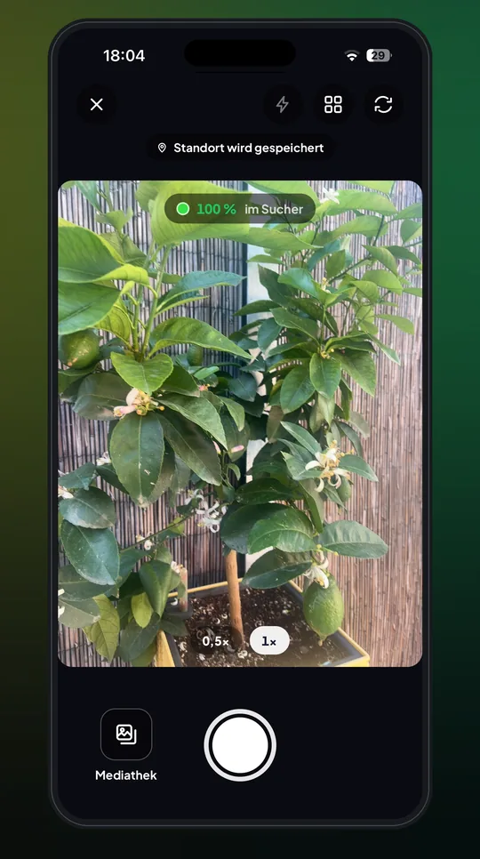 App-Kamera: ein Motiv in der eigenen Farbe wird fotografiert.